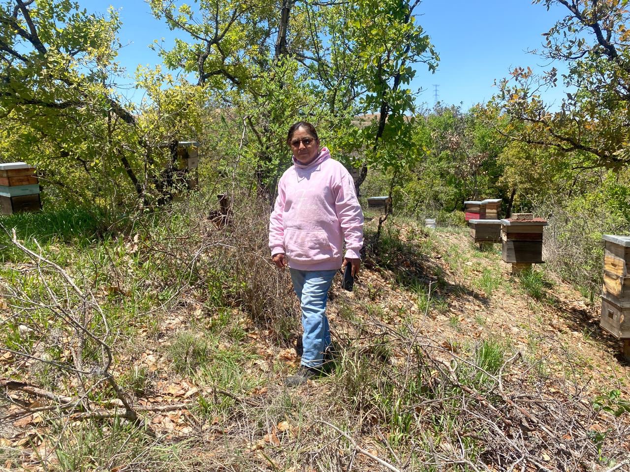 Recorrido entre apiarios