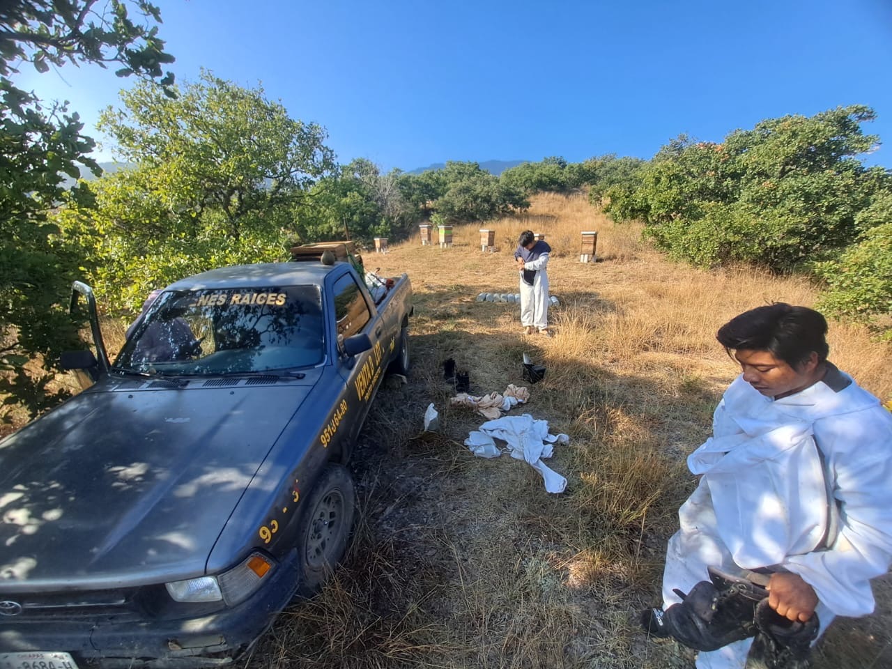 Trabajo en campo con apiarios